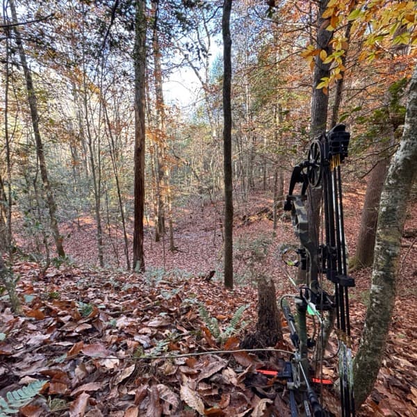 Hunt. Fish. Mentor. podcast artwork